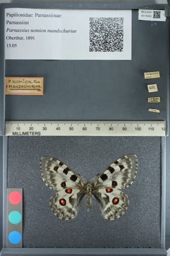 Media type: image;   Entomology 175003